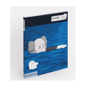 kaws livre kaws edition phaidon 790 673db9f4afb6b.png