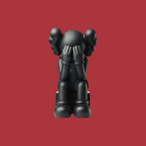 kaws passing through black edition de 500 exemplaires 17025 6748ac4b1b20f.png
