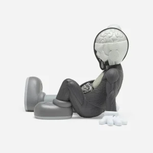 kaws resting place grey edition de 500 exemplaires 17027 674891387176f.webp