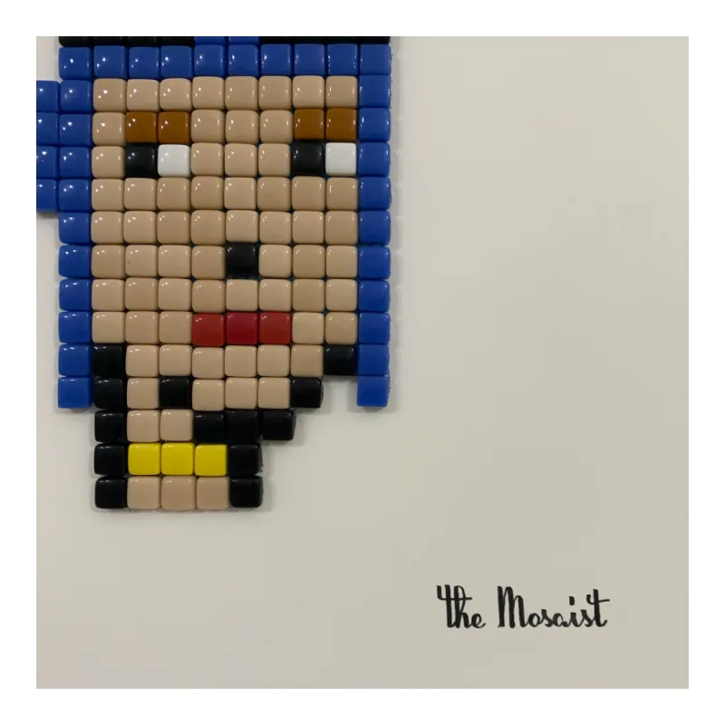 The Mosaist Cryptopunk 5645 Mosaic 1255 673473a4a778b.png
