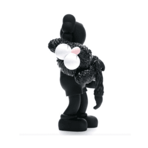 kaws gone black 18058 6763fbba08e47.png