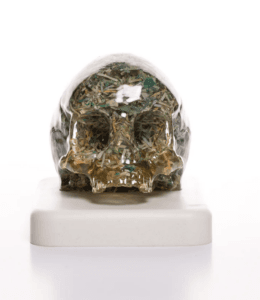 death + taxes (small skull)