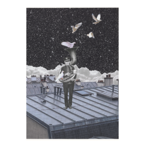 bf7c33c3cf02af562f32fc90b81834af julien raffin toit de p print.png