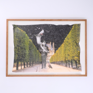 fc4f766f5c27c9eb5fb119cfed773f07 jardin des tuileries edition.png