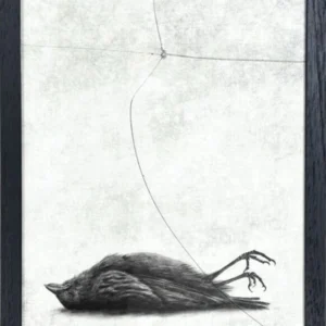 The window