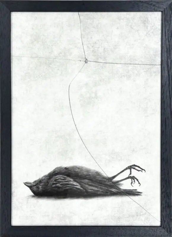 The Window