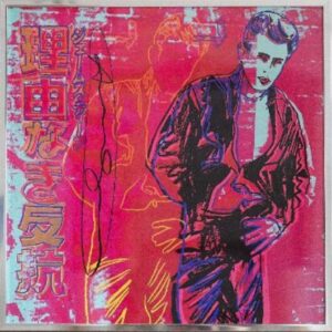 james dean, rebel without a cause, fs 11.355