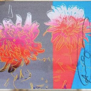 kiku flowers, fs 11.308