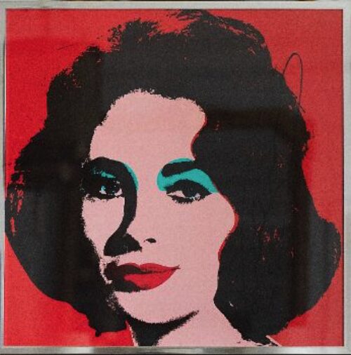 liz tailor fs 11.7