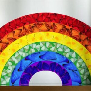 butterfly rainbow