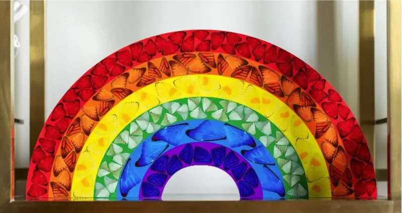 butterfly rainbow