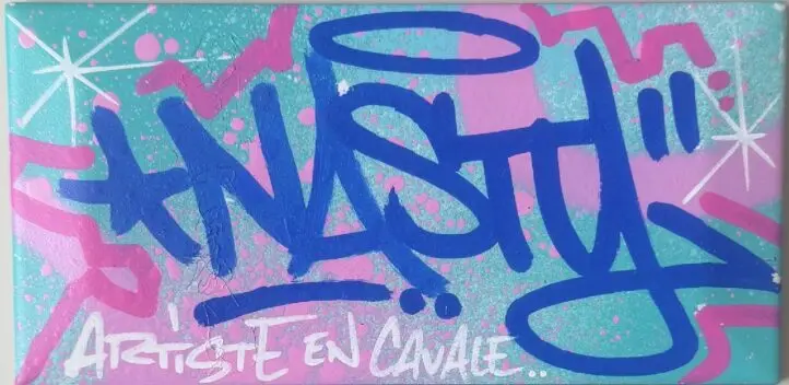 nasty artiste en cavale 6a21947b1f0f7 1.jpg