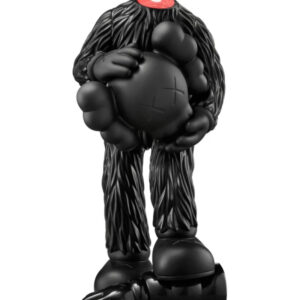 kaws fellows black 6a6b1ee531209.jpg
