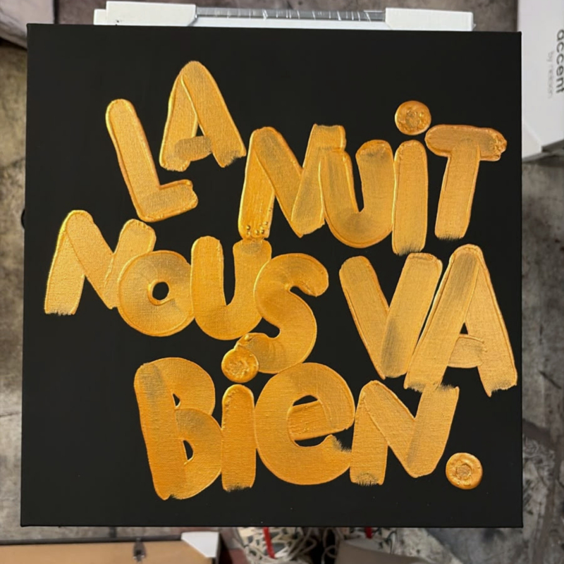 l oiseau noir la nuit nous va bien 6a5e2b1b972bb.jpg