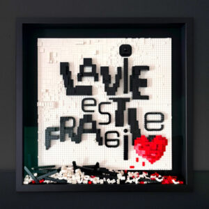 la vie est fragile