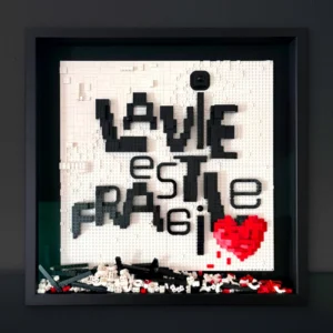 la vie est fragile