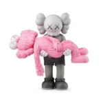 Kaws